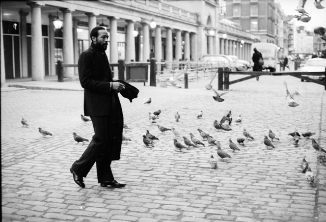Marvin-Gaye-12823-15