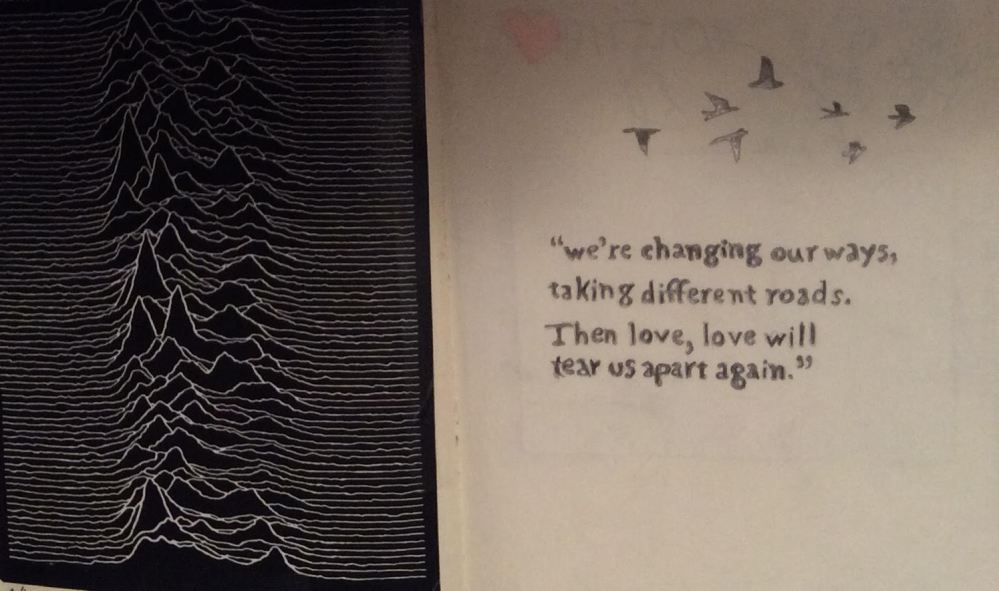 Copertina di “Unknown pleasure”, sulla destra parte del testo ricopiato da mia figlia.