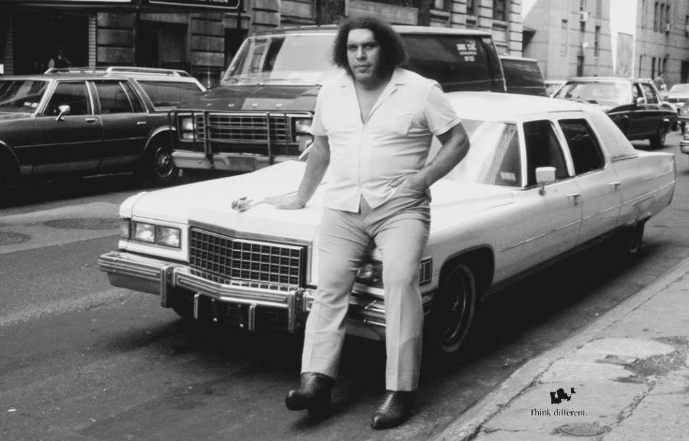 Andre The Giant